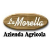 La Morella