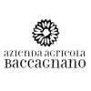 Baccagnano