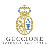 Francesco Guccione Francesco Guccione